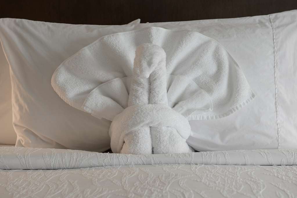 Hilton Garden Inn Louisville Mall Of St. Matthews Fasiliteter bilde