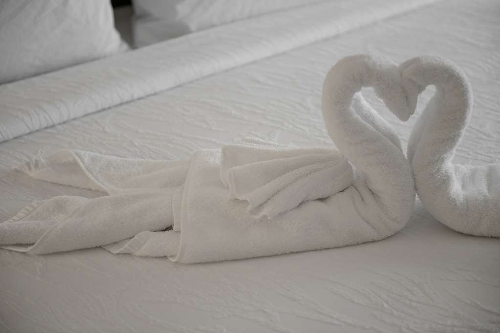 Hilton Garden Inn Louisville Mall Of St. Matthews Rom bilde
